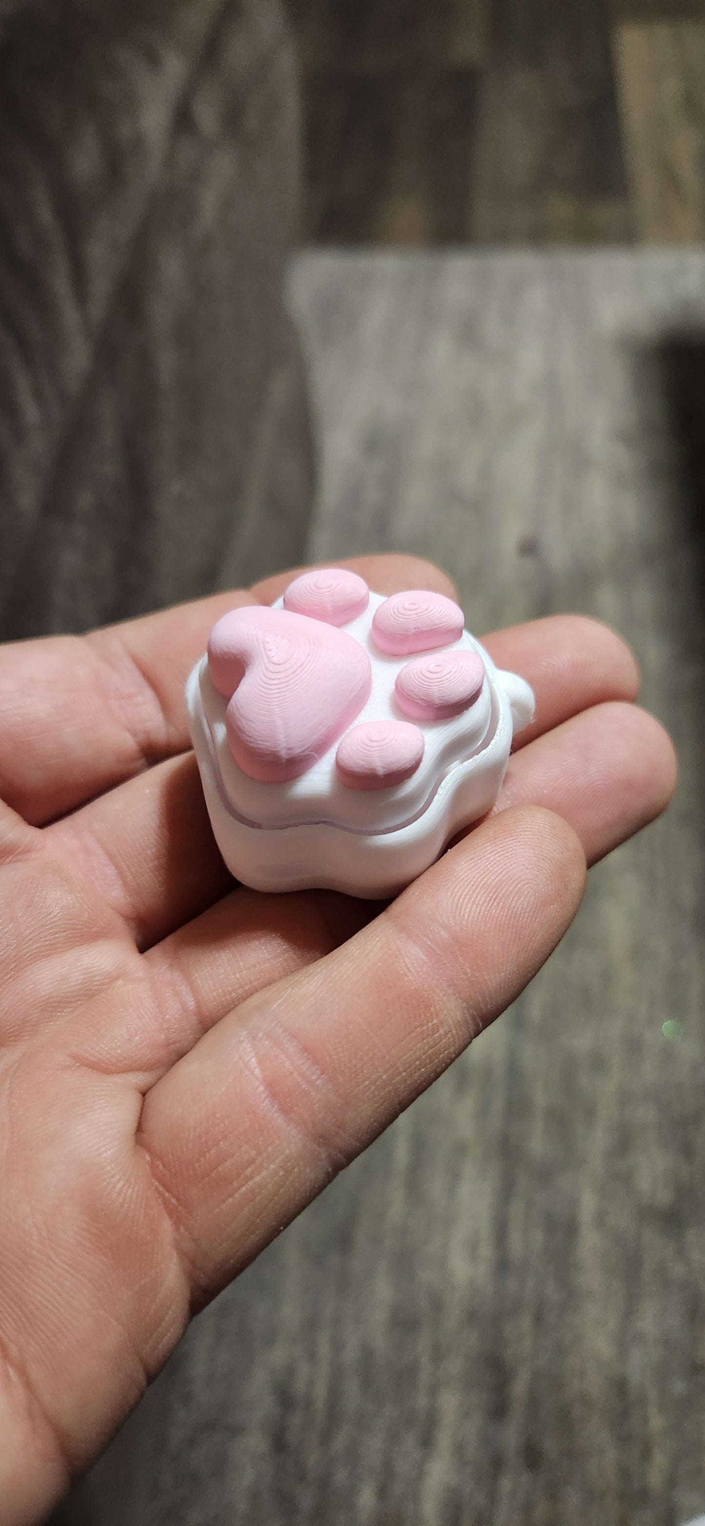 Sensory Stress Relief Clicker Cat Paw Fidget Toy