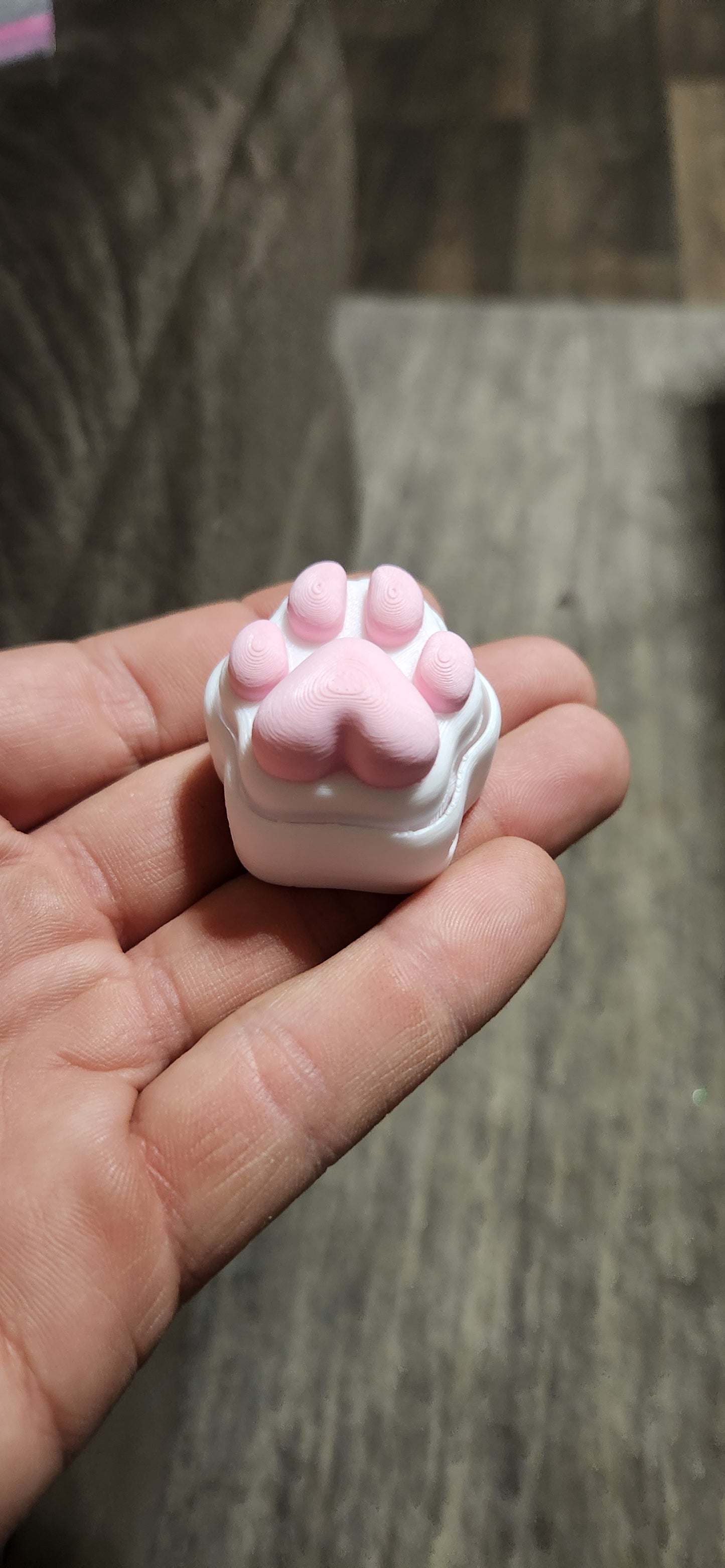 Sensory Stress Relief Clicker Cat Paw Fidget Toy